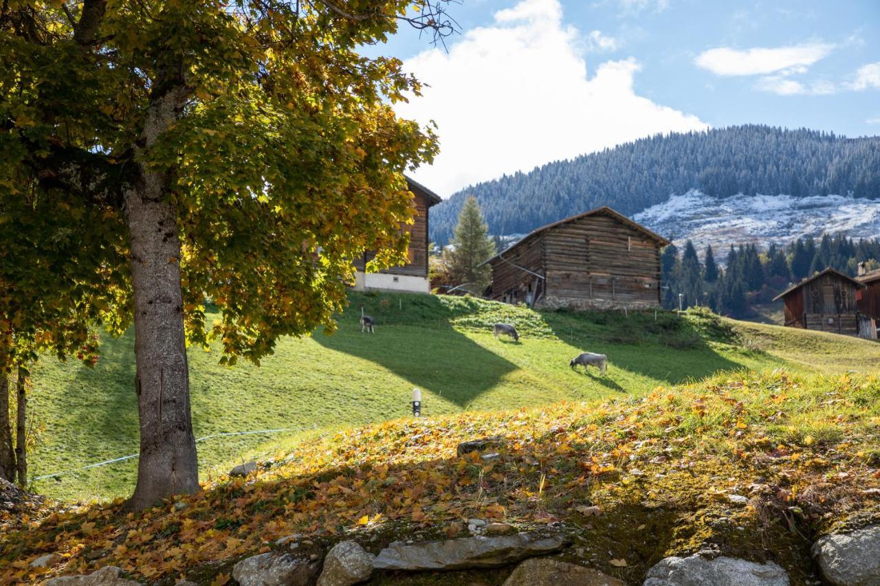 Alpenlodge Val Gronda Obersaxen Exterior foto